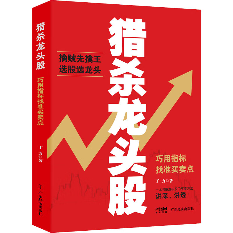 猎杀龙头股 巧用指标找准买卖点 图书