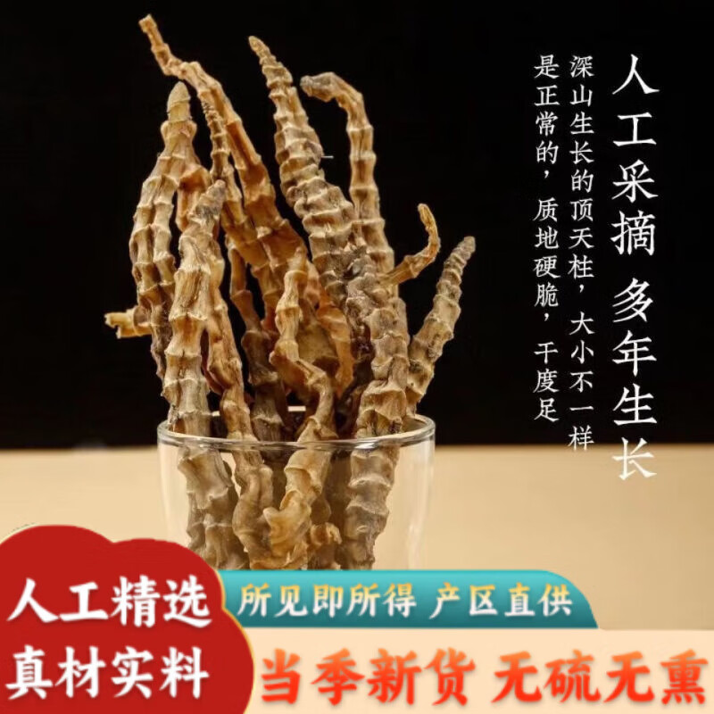 北京同仁堂 正宗云南野生顶天柱草药虫草参地参不老草回阳草回春草