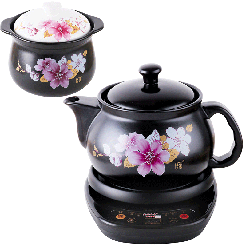 2025年煎药壶哪个好用？实测这5款火力均匀，煎药更高效，老人用着也放心