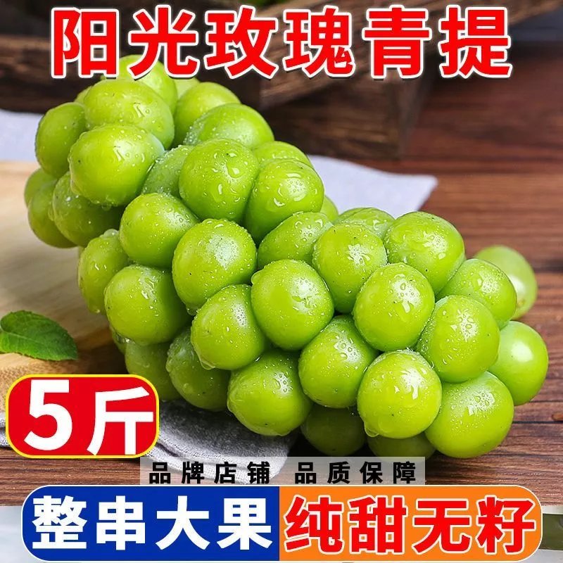 现摘阳光玫瑰晴葡萄无籽新鲜甜当季香印青提子整串爆汁孕妇水果