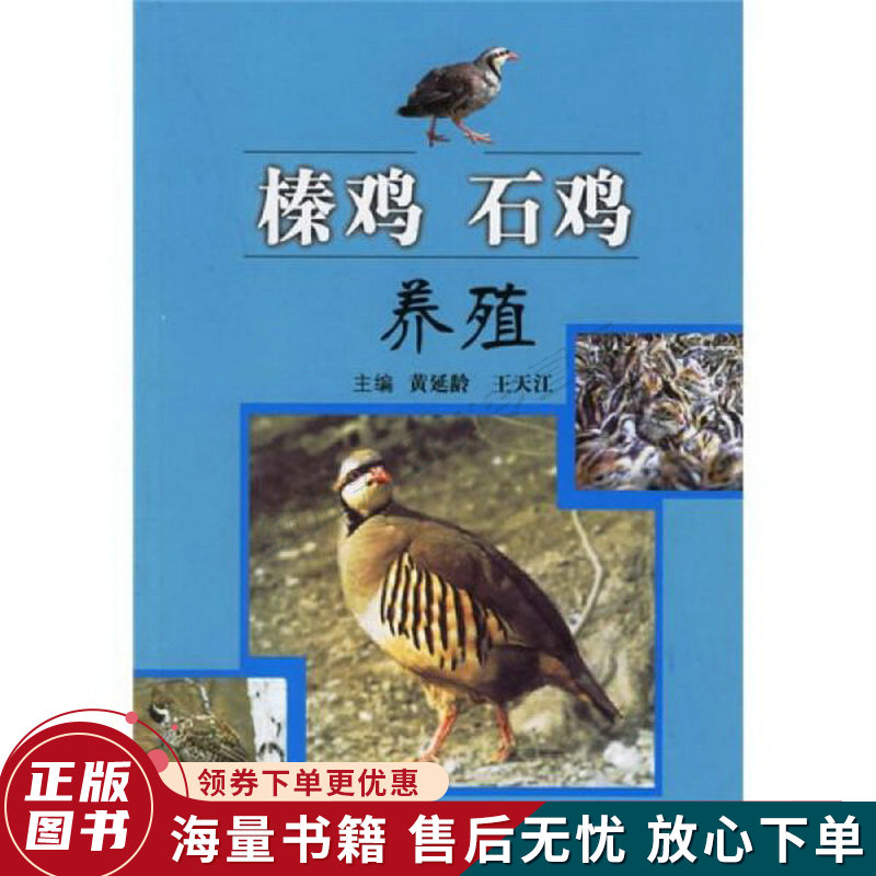 榛鸡石鸡养殖