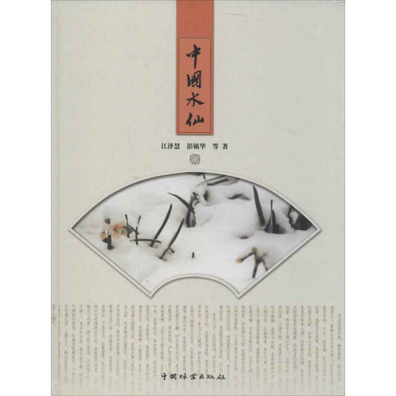 中国水仙