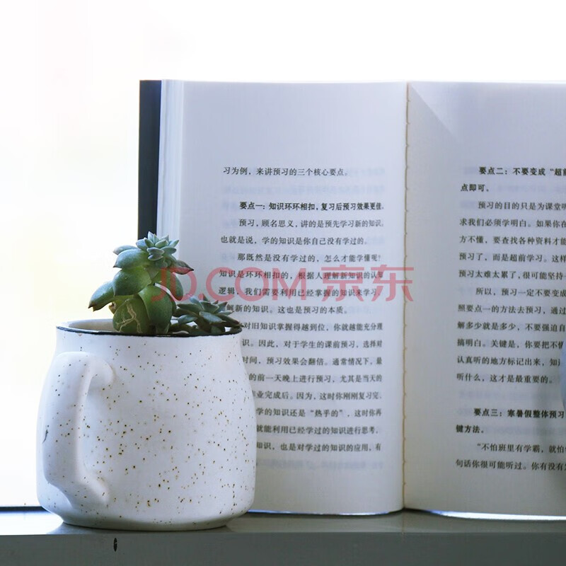 现货极简学习法 ：考试高分的秘密，上百位清北学霸学习方法大公开 贴码