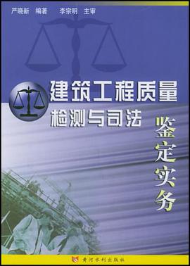 正版现货建筑工程质量检测与司法鉴定实务 严晓新 黄河水利出版社 9787806216583