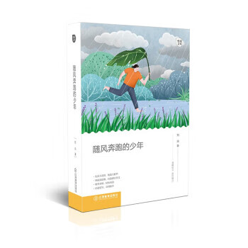 随风奔跑的少年