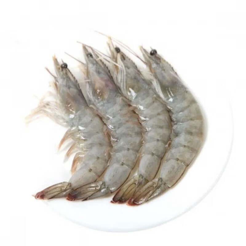 食怀【新疆】冰鲜野生海捕大对虾国产大虾虾鲜活新鲜大虾海虾批发