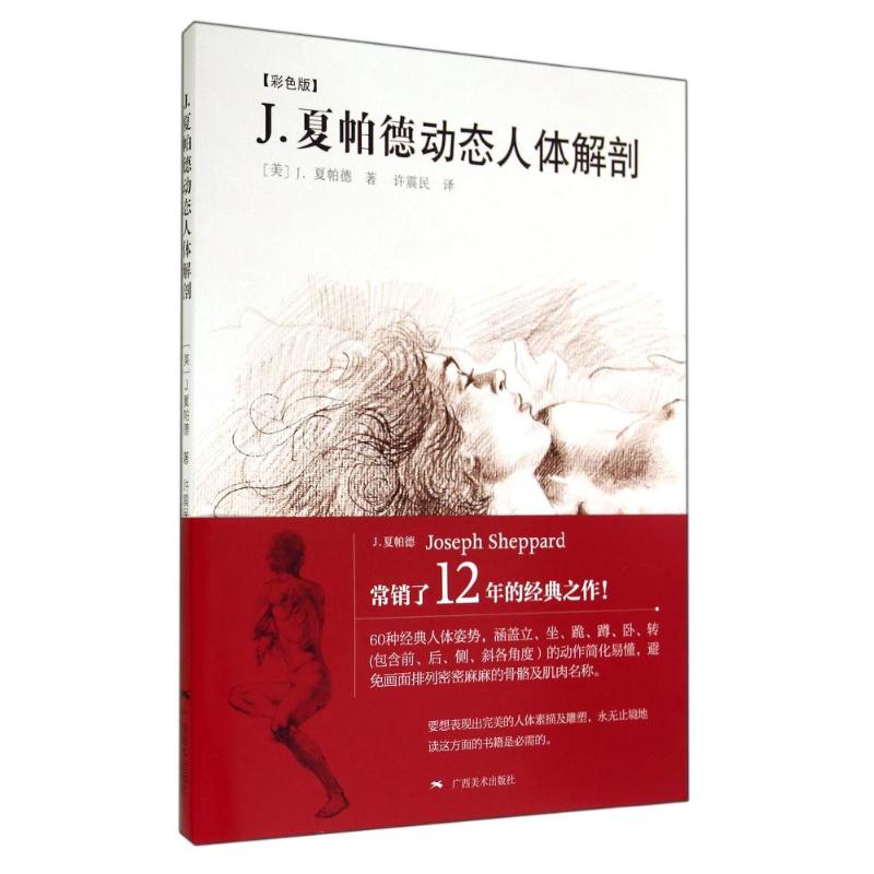 J.夏帕德动态人体解剖 彩色版 Joseph Sheppard 著作 许震民 译者 图书籍类关于有关