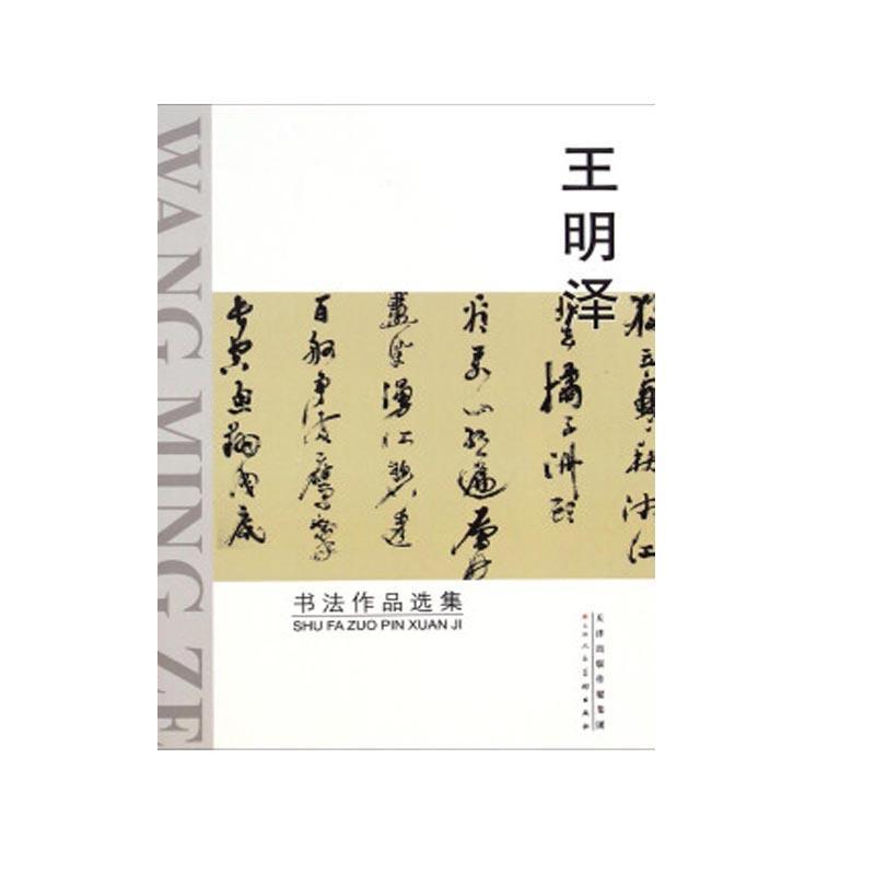 包邮：王明泽书法作品选集 书法  图书