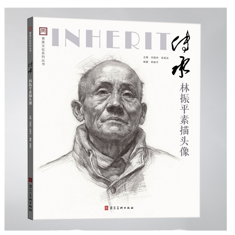 正版2018传承林振平素描头像青美文化素描经典局部五官详解结构对应大