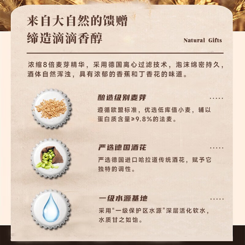 施泰克啤酒10度小麦原浆德国精酿啤酒节日送礼麦芽丰富口感清爽整箱装 500ml24罐 【京东/顺丰送货上门】 施泰克啤酒