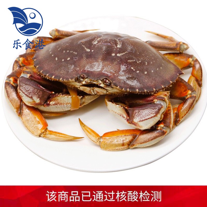 【活鲜】乐食港 鲜活珍宝蟹 太子蟹海鲜水产新鲜阿拉斯加拿大海鲜 700