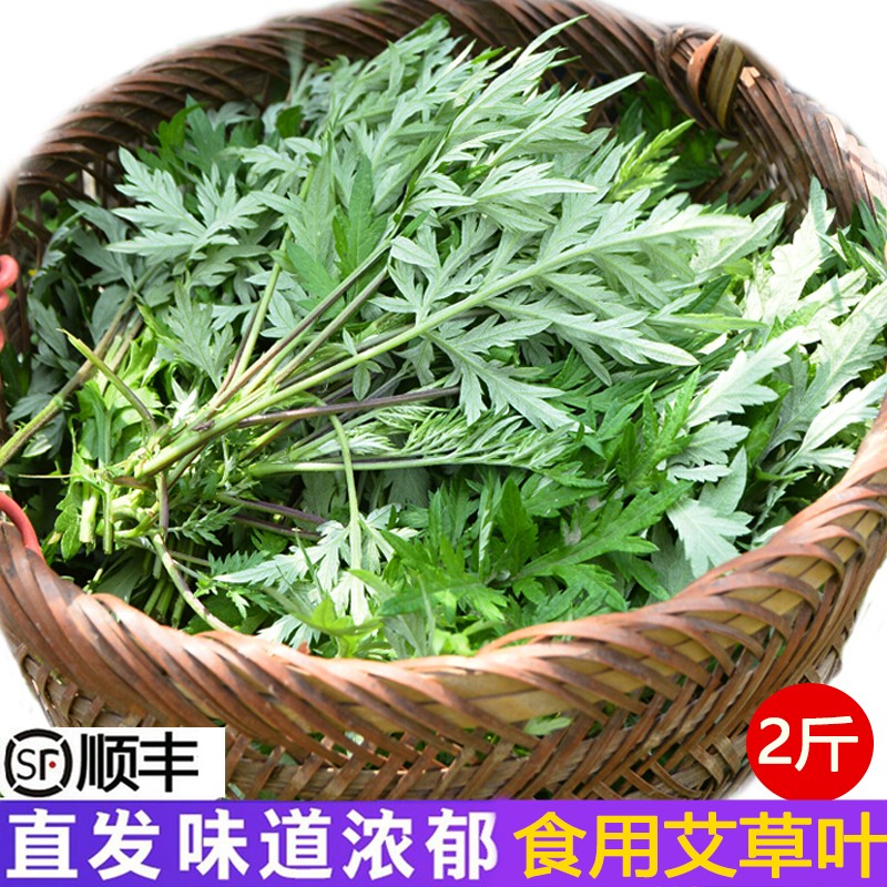 新鲜艾草食用艾叶嫩艾蒿 青团蒿子粑粑清明果蔬菜食材 1kg
