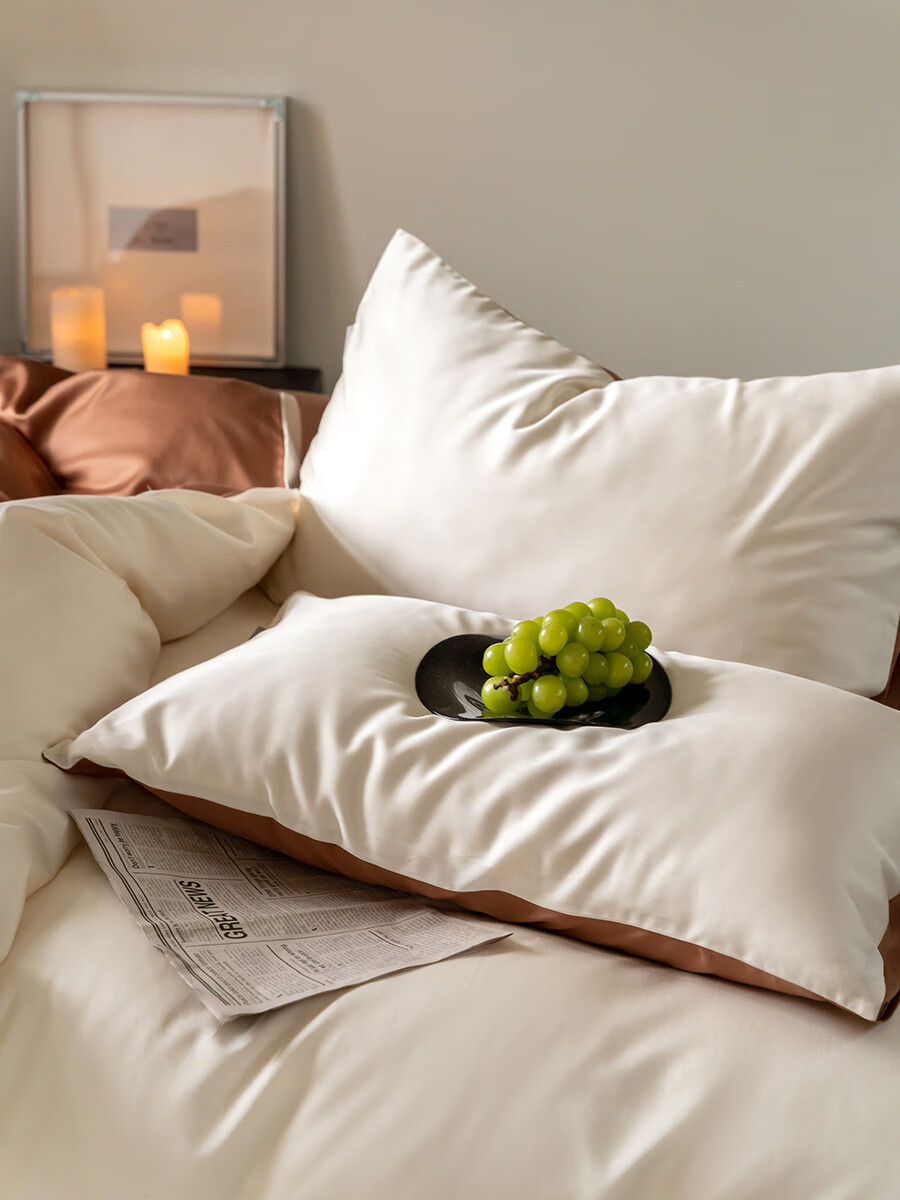 2024新款夏季a类高级感天丝棉枕套一对装冰丝48cmx74cm枕头套单个