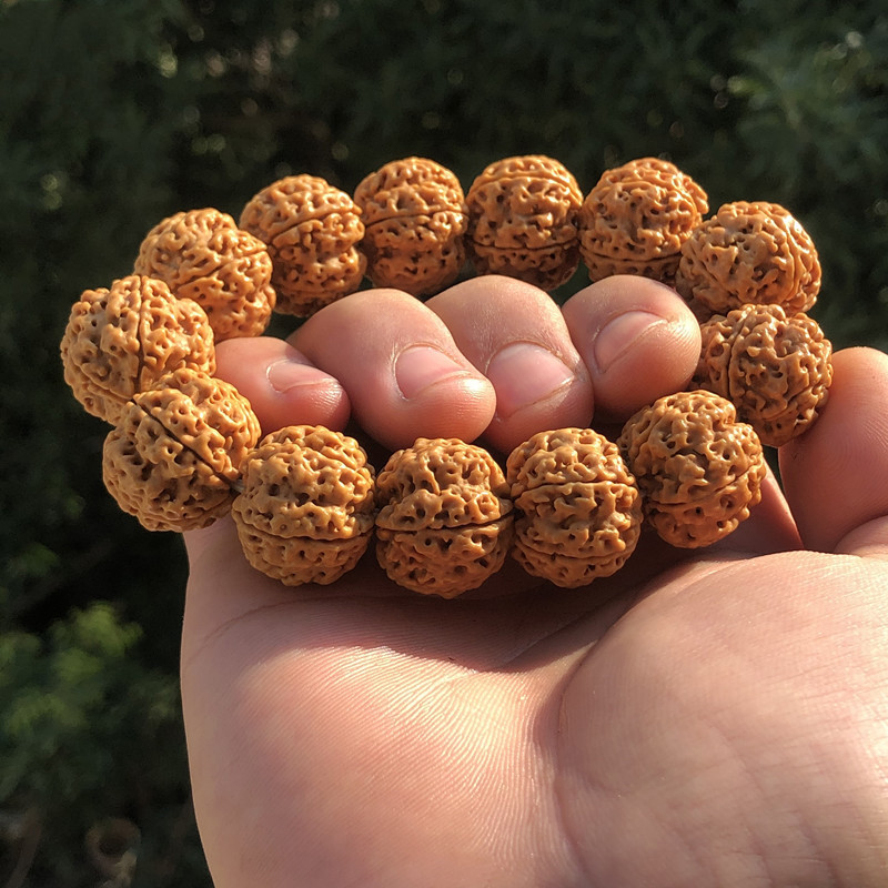 尼泊尔大金刚菩提子手串头货蜂窝双龙原籽梅深清高密男士文玩寓意礼物