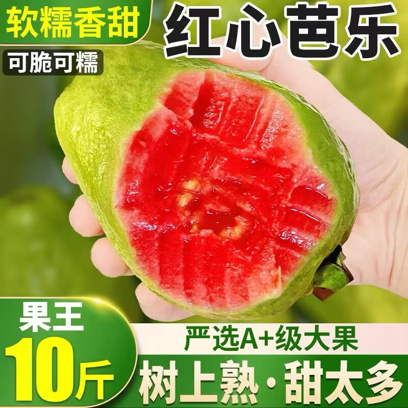 芭乐能查历史价格吗|芭乐价格走势图