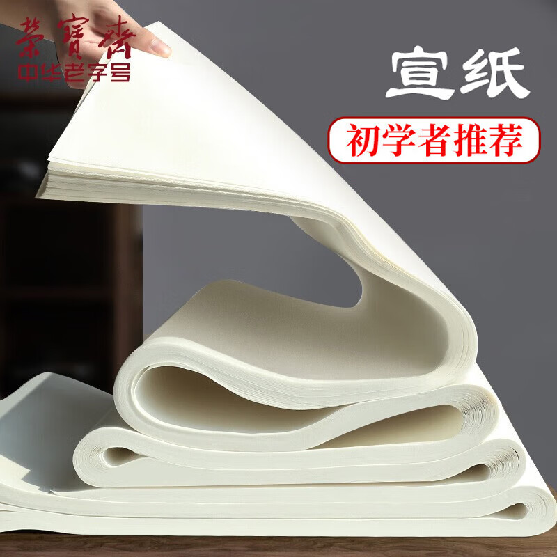 荣宝斋宣纸 老师推荐书法专用纸毛笔书法练习国画文房四宝初学者批发生宣半生熟宣纸 四尺四开熟宣100张（老师推荐）