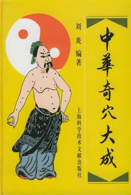 中华奇穴大成 刘炎 编著【正版书】