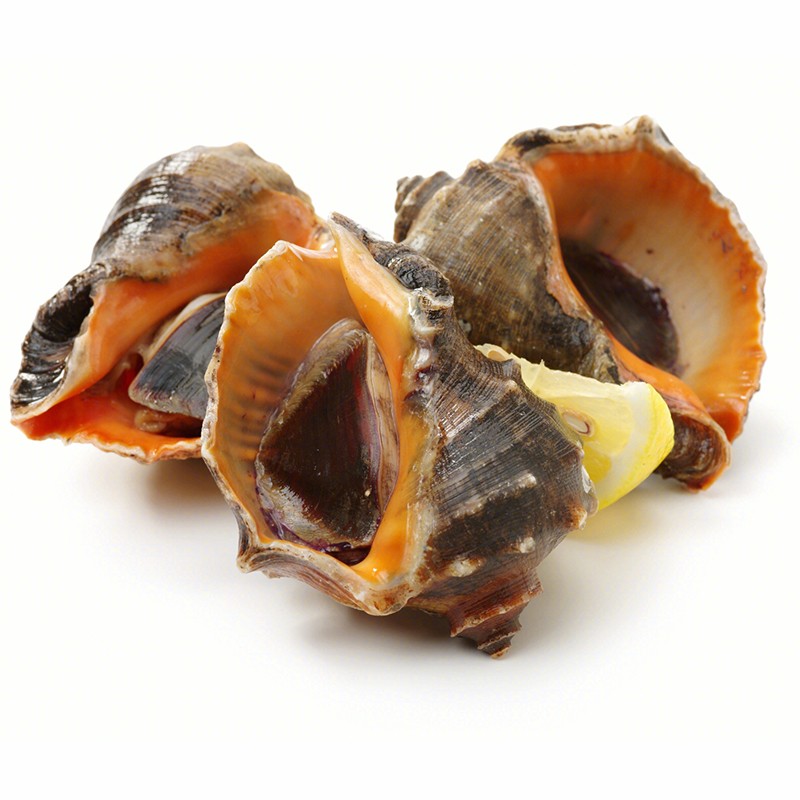 【活鲜】御鲜之王 鲜活大海螺新鲜贝类 海鲜水产 烧烤食材 海螺500g 5-7只/斤