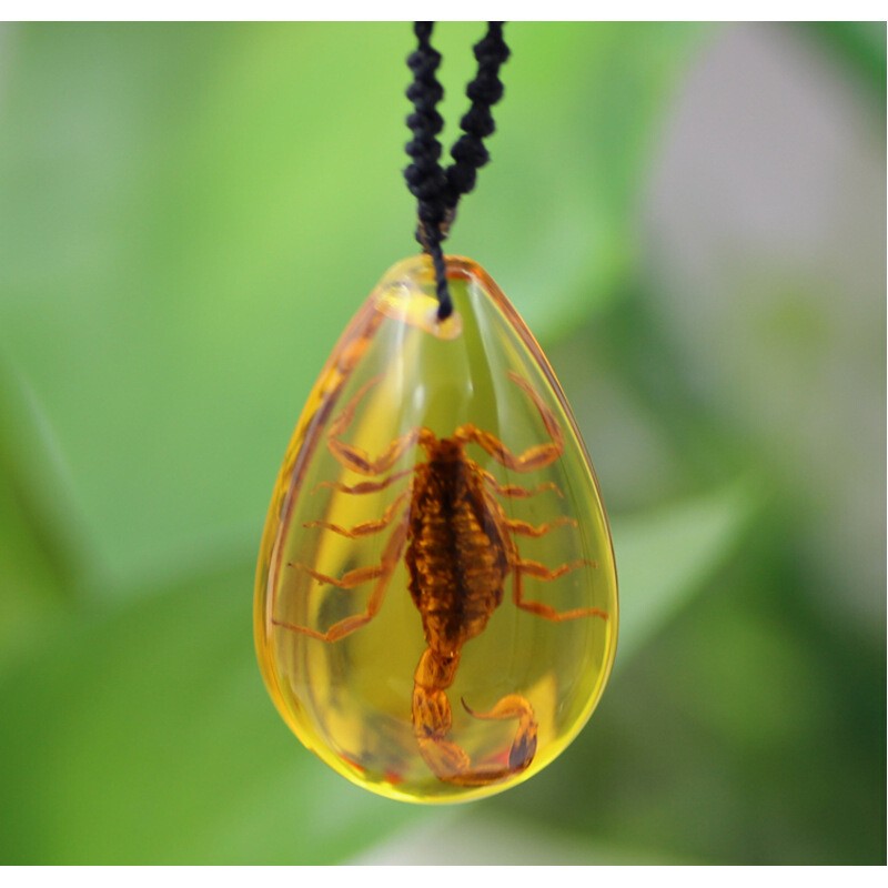 森洲 天然昆虫人工琥珀大蝎子项链标本吊坠 创意男人装饰品儿童礼物