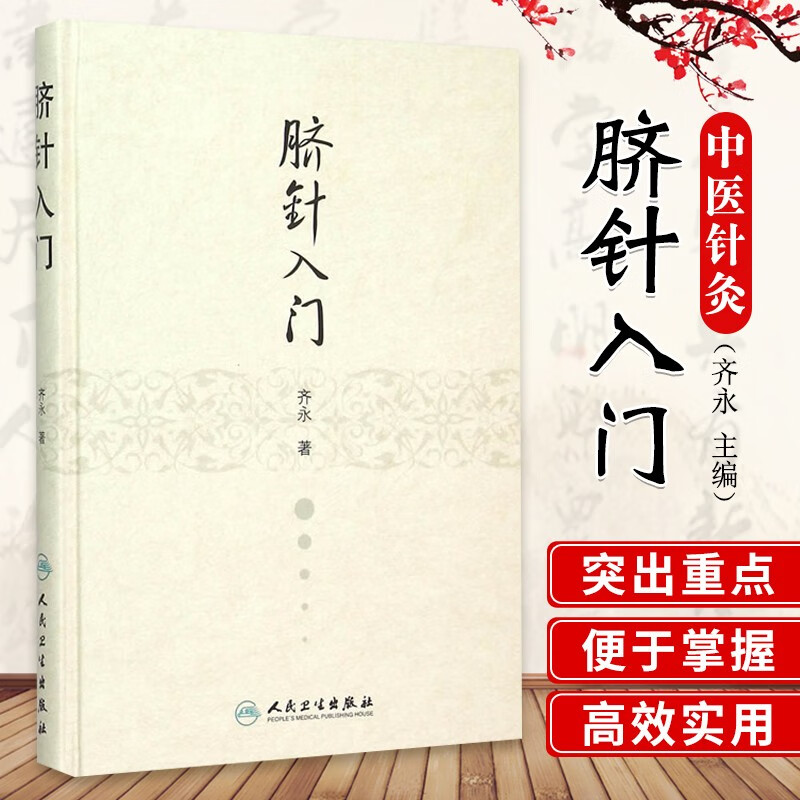 脐针入门 齐永书籍图书 医学 中医 针灸 9787117211635正版全新