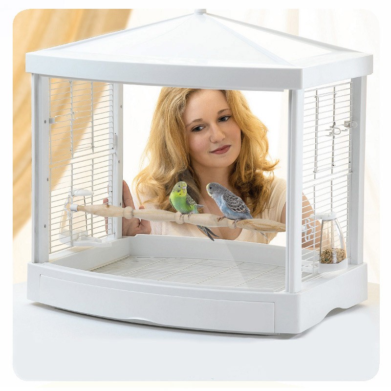 caitec凯泰克 鸟笼小鸟笼观赏鸟笼鹦鹉笼 景观式设计 适合小型鹦鹉鸟