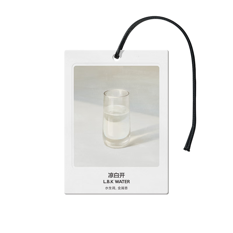 氣味圖書館（SCENT LIBRARY）车载香薰卡片车载香片清新卧室衣柜汽车挂件 凉白开香型