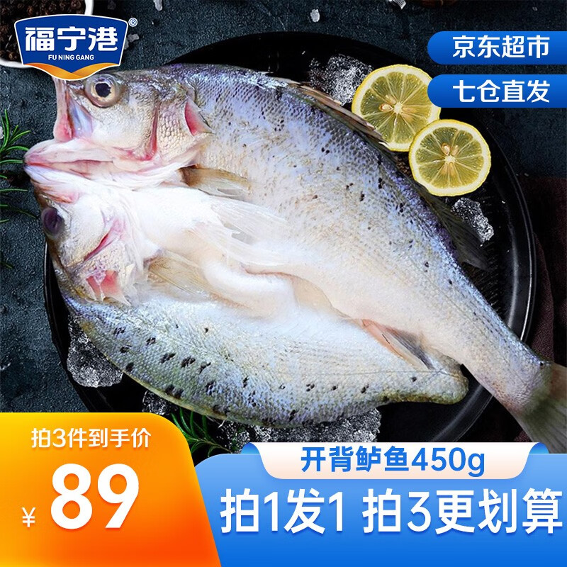 福宁港（FUNINGGANG）鱼类