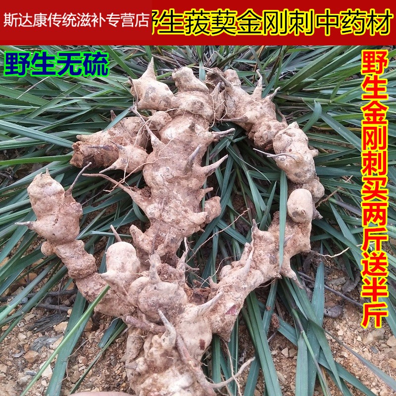 现挖菝葜金刚刺中草药金刚藤乌鱼刺铁菱角中草药金刚刺根500g【推荐】