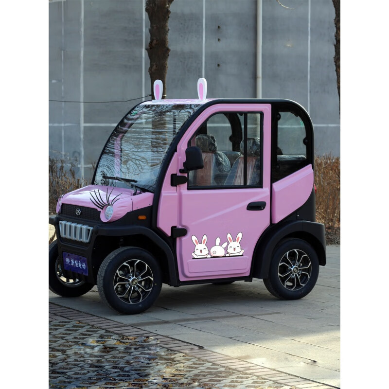 tema老头乐代步迷你电动汽车女士小型四轮双人家用接孩子新能源电瓶车