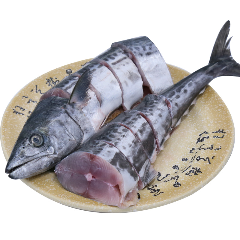 三蟹岛 大鲅鱼 马鲛鱼 鲜活速冻马鲛鱼海捕鱼类大海鱼 海鲜水产海鱼礼盒 13斤装/1条