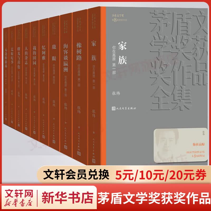 你在高原 全套10册 张炜作品 第八届茅盾文学奖获奖作品 人民文学出版社