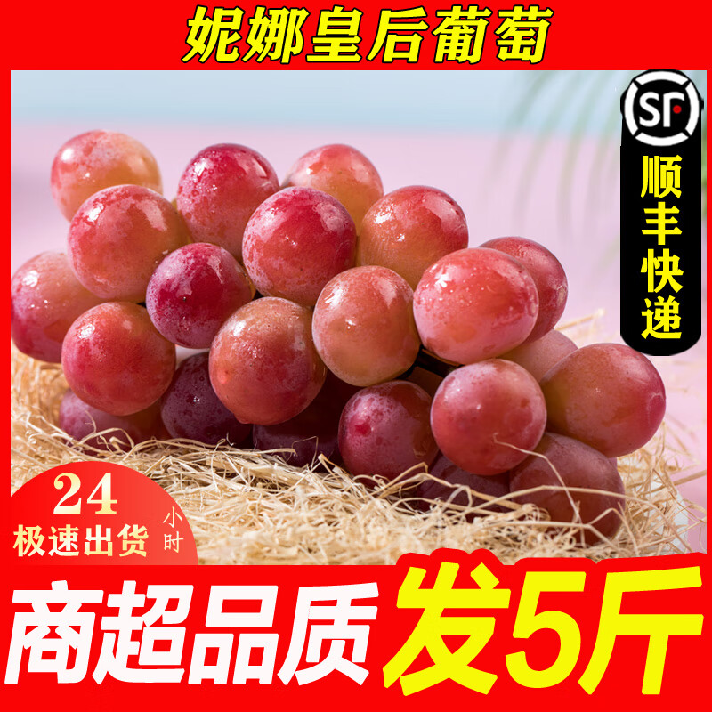 帝醇果【顺丰速运】妮娜皇后葡萄葡萄尼娜女皇新鲜孕妇水果无籽提子