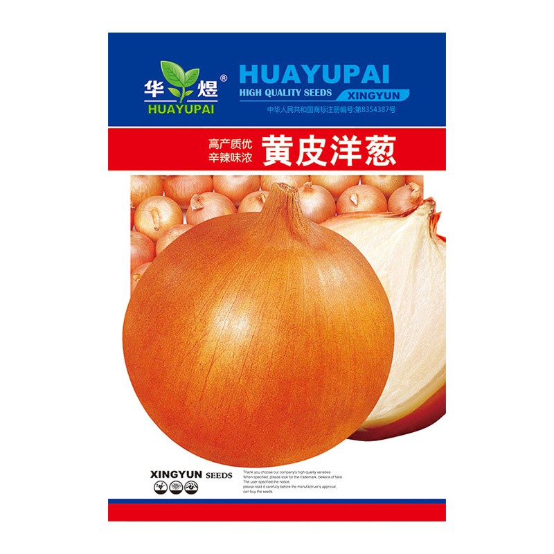 千特华煜 黄皮洋葱种子 农家洋葱种子盆栽干香小葱种子洋葱种子