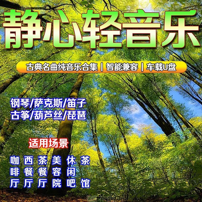 米向轻音乐tf卡休闲纯音乐咖啡厅乐器高音质音乐凯丽金回家无损 纯音乐158首 U盘选我