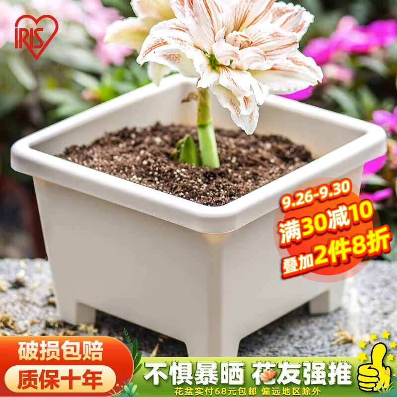 爱丽思（IRIS）圆形球跟植物环保树脂花卉盆栽植物园艺阳台塑料花盆 方形球根盆7.6L 9号暖米色高性价比高么？