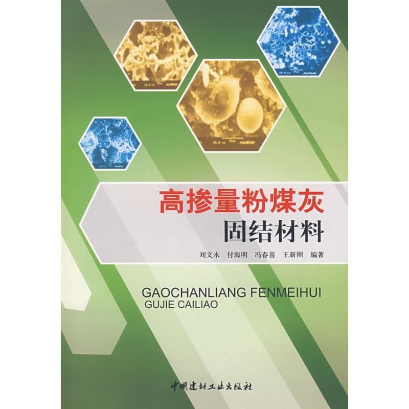 高掺量粉煤灰固结材料 刘文永 作 书籍