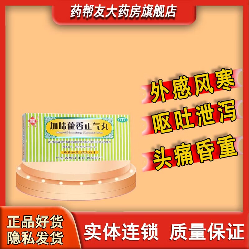 加味藿香正气丸 3g*10袋/盒 1盒装