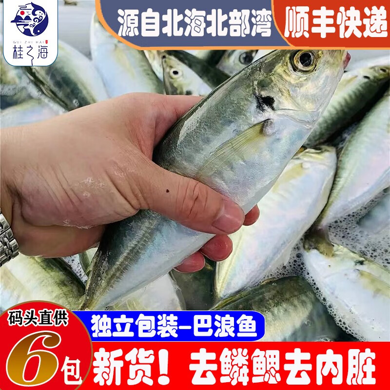桂之海 桂(GUIZHIHAI)北海巴浪鱼鲜活冷冻海杂鱼新鲜海捕去鳞去鳃去内脏池鱼深海鱼海鲜 5包大号【4-5条/包】净重4斤