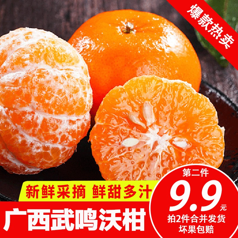 什谷丰 广西武鸣沃柑 2斤5斤9斤 礼盒装 柑橘橘子桔子 新鲜水果 5斤 店长推荐款