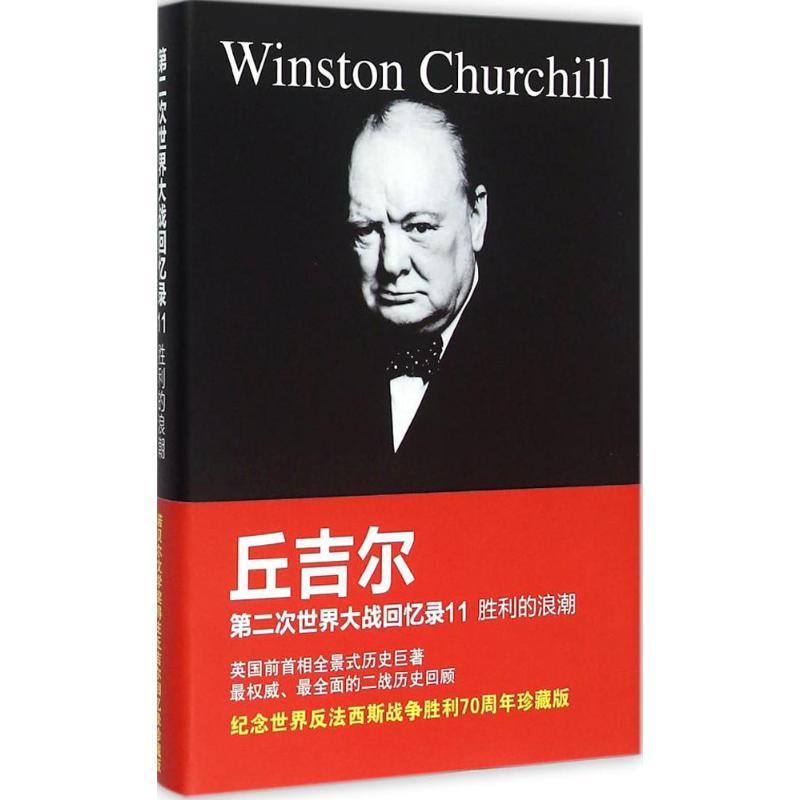 第二次世界大战回忆录(11)胜利的浪潮 (英)温斯顿·丘吉尔(Winston Churchill) ；王敏 译 书籍