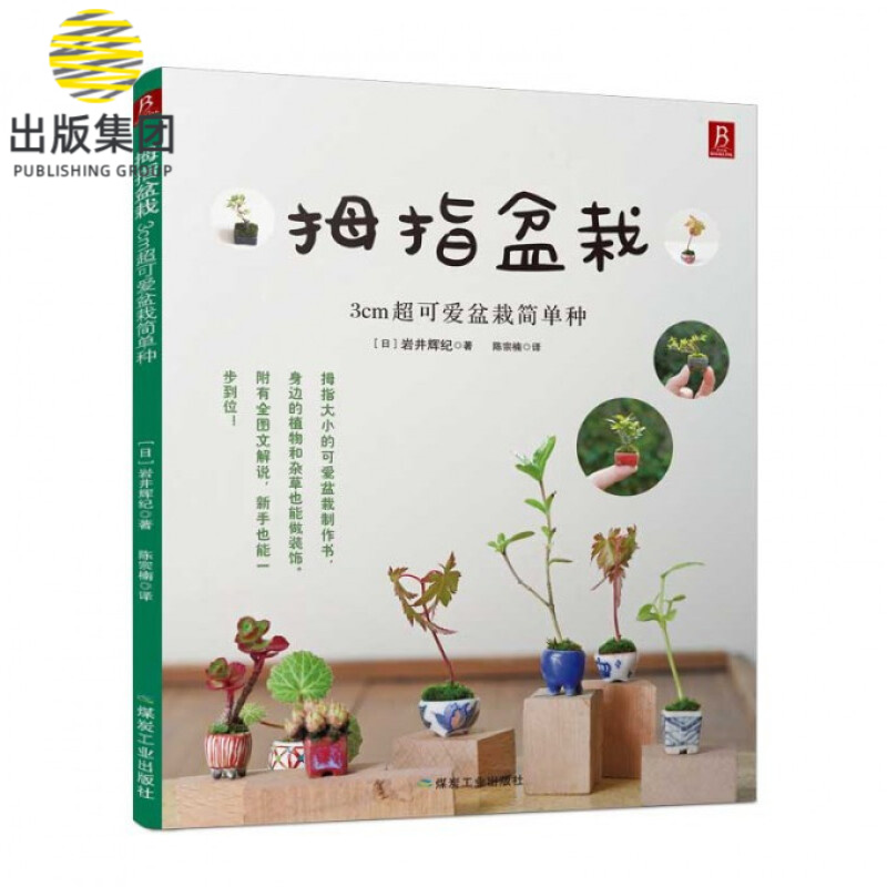 拇指盆栽(3cm超可爱盆栽简单种)