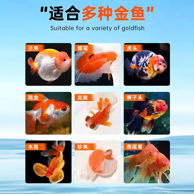 鱼麒麟金鱼主食饲料兰寿小泰狮专用高蛋白不浑水益生菌锦鲤鱼食观赏鱼粮 兰寿/蝶尾增色饲料220ml(下沉型）