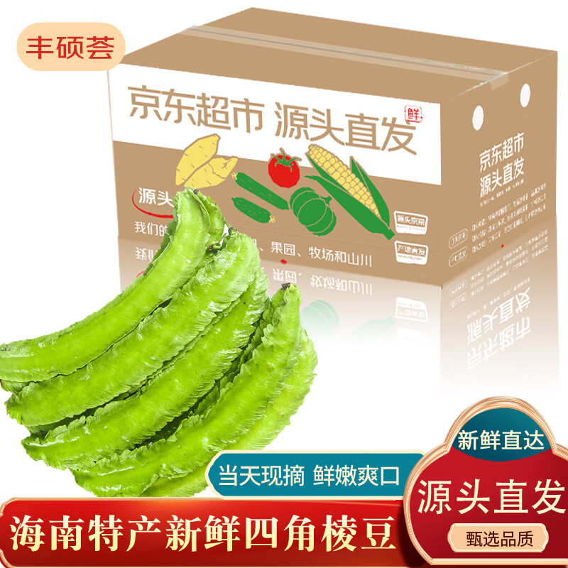 京地達(dá)海南現(xiàn)摘四季豆角四棱豆5斤裝龍角豆皇帝豆應(yīng)季新鮮蔬菜源頭直發(fā)