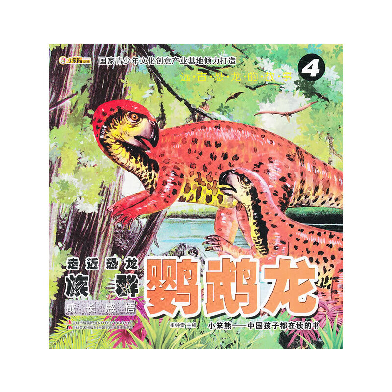 鹦鹉龙成长感悟