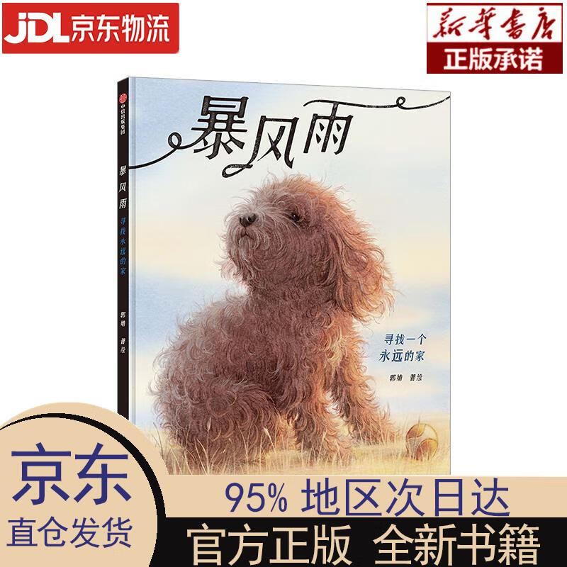 【新华正版】 暴风雨：寻找一个永远的家 郭婧 著 中信出版集团