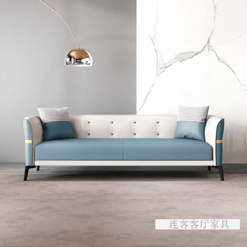 温典沙发客厅小户型科技布艺沙发意式极简家用三人位直排沙发出租房