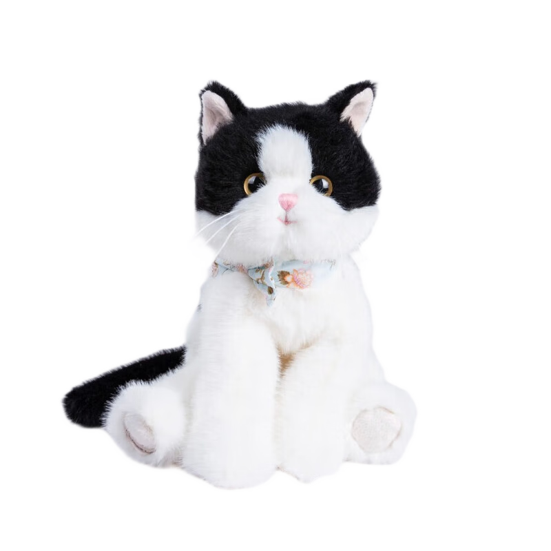 ٤����ë����żQ��è����߰���������Ů������С����Ů�������������� W3467�ڰ�è ͼͼ 25cm