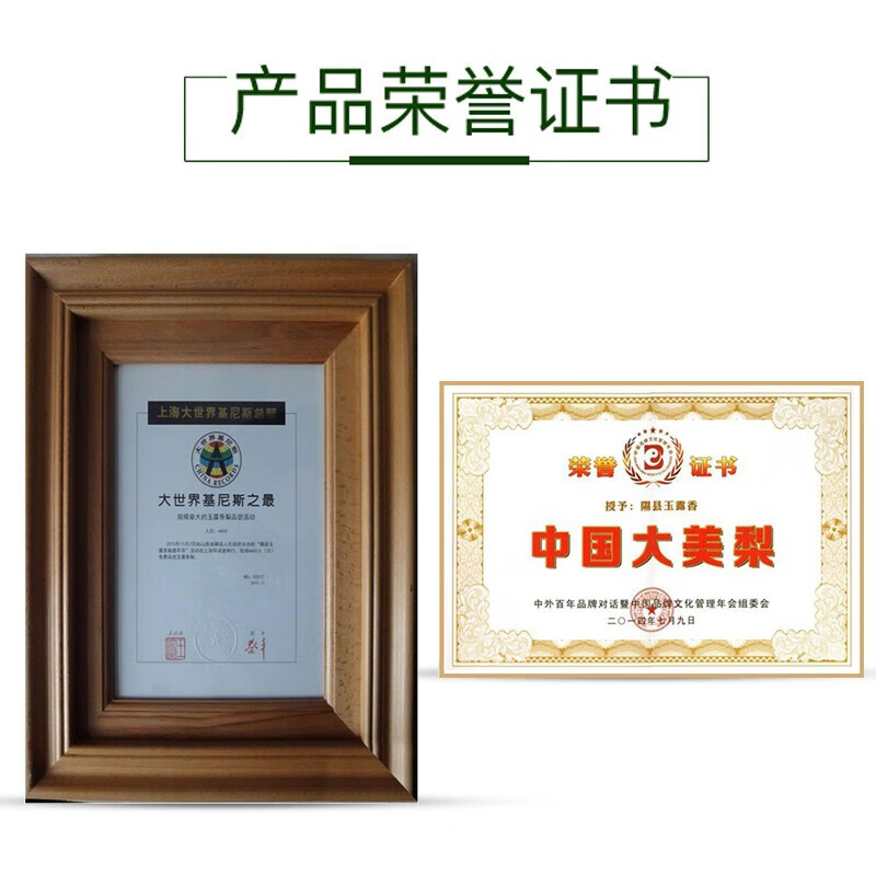 橙尚宫山西玉露香梨新鲜梨子脆冠苹果甜梨当季现摘水果红酥甜青梨整箱 9枚特大果【单果90mm+】出口特级