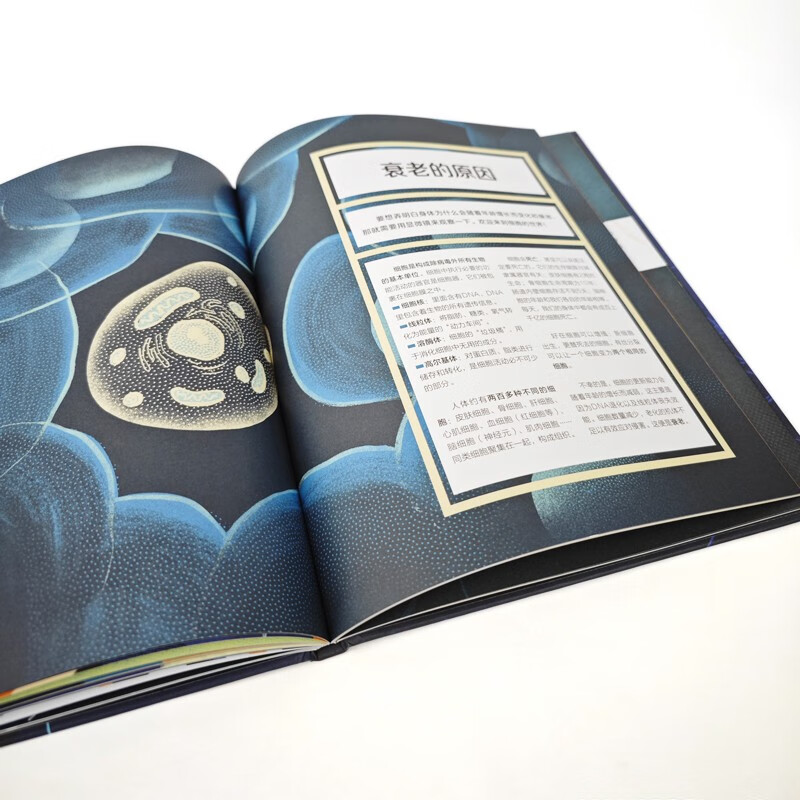 永远有多远：从时间之谜到生命的未来（奇想国童书）科普小学中高年级8岁生命科学