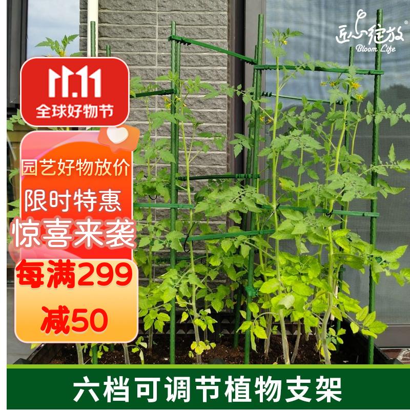 匠心绽放园艺支架四边形60cm爬藤架番茄黄瓜种菜架子植物攀爬架花爬架怎么样,好用不?
